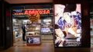 アエロフロートで出発の前に立ち寄りました