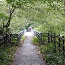 まず見学するには、この橋の上を歩いて、しらに降りていきます。