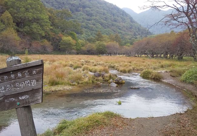 光徳沼 クチコミ アクセス 営業時間 日光 フォートラベル