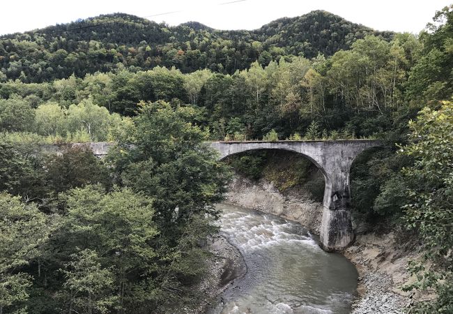 道路沿いの橋からキレイにみえます。