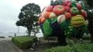 港には似つかわしくありませんが、インパクトは大