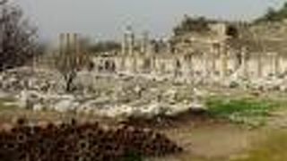 面影をしのぼう