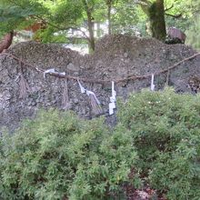 境内にあるさざれ石