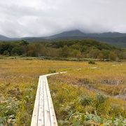 木道の散策路が整備されている八甲田山最大の湿原