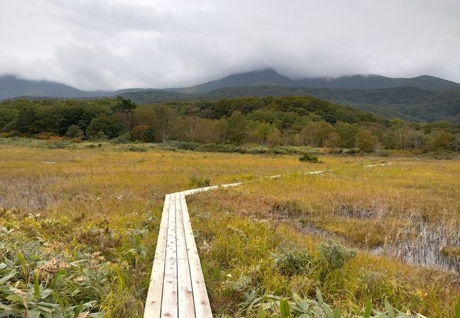 木道の散策路が整備されている八甲田山最大の湿原