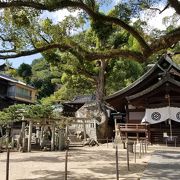 ロープウェイ乗り場近くにある神社