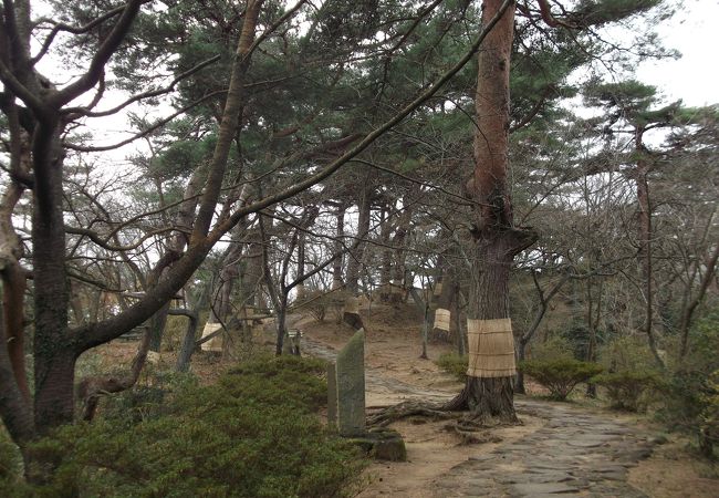 目の前に広がる太平洋