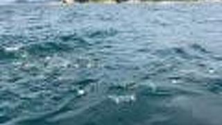 揺れを楽しむ覚悟で…