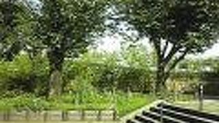 夏の終わりの隅田公園