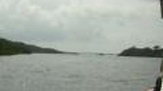 ジャングルクルーズ