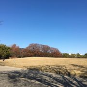 公園としてのエリアはとても広いです