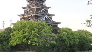 味わい深いビジュアルの天守