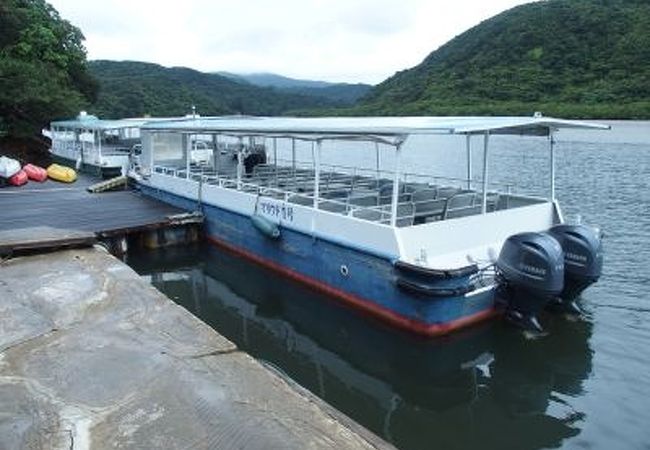 浦内川観光 クチコミ アクセス 営業時間 西表島 フォートラベル 浦内川観光 クチコミ アクセス 営業時間 西表島 フォートラベル