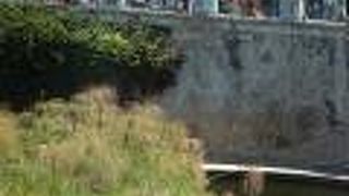 有名スポットの一つ