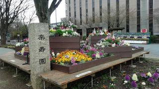 緑豊かな森に囲まれた広さ約75,474㎡の公園