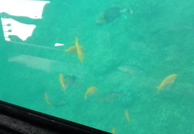 竹富島 マリン倶楽部 クチコミ アクセス 営業時間 竹富島 フォートラベル 竹富島 マリン倶楽部 クチコミ アクセス 営業時間 竹富島 フォートラベル