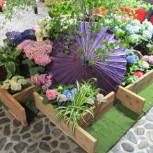 江戸小路（羽田空港国際線ターミナル）