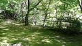 奥津温泉街から徒歩で。