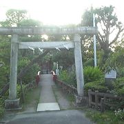 公園の中にある神社