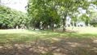 習志野市の遺跡