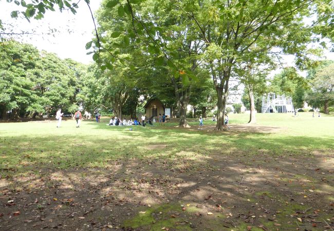 鷺沼城址公園 クチコミ アクセス 営業時間 船橋 習志野 フォートラベル 鷺沼城址公園 クチコミ アクセス 営業時間 船橋 習志野 フォートラベル