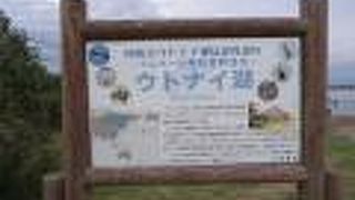 道の駅ウトナイ湖のすぐそば