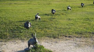 モダンな外観の美術館