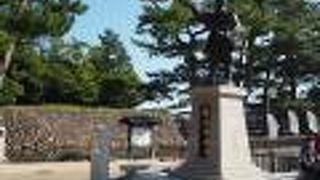 松江城を築いた人