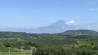 富士山望むワイナリー
