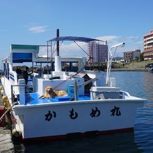 野島崎海底透視船