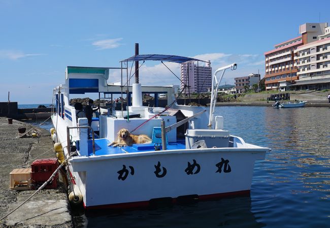 野島崎海底透視船