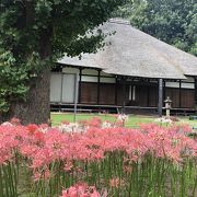 彼岸花の西方寺