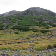 往復１０時間の山旅！