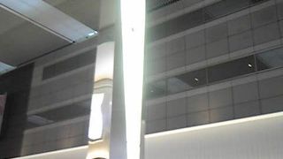 久しぶりの羽田空港