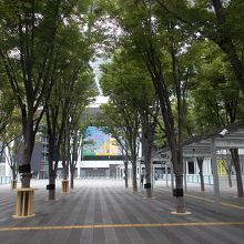 けやき広場からの景観です。