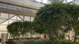 パークハイアット東京の中では気軽に利用できる