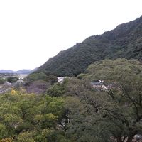 右上に岐阜城も見えます。