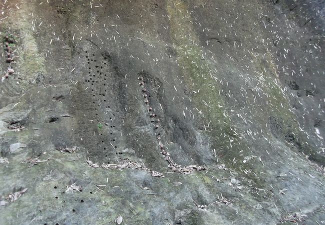 地磁気逆転地層を知る