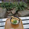 中庭で食べれます！