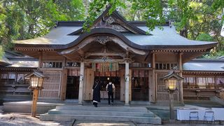 境内に古杉が多く残る