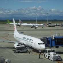 中部国際空港に駐機中のＪＬ３１０５便