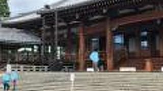 広大な土地の中