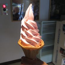 購入したこけももソフトクリーム