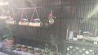 屋根神様を見られます