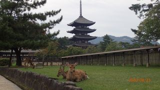 いろいろな角度からの五重塔はやはり、奈良の代表的な景色と思います。