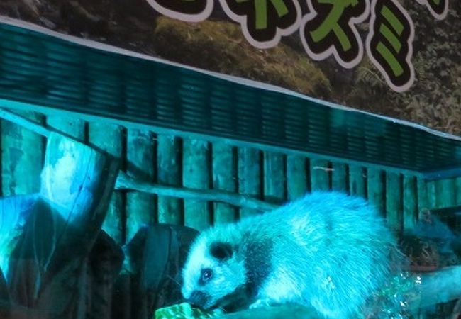 神戸どうぶつ王国 クチコミ アクセス 営業時間 神戸 フォートラベル 神戸どうぶつ王国 クチコミ アクセス 営業時間 神戸 フォートラベル