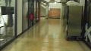 日曜日はガラガラ