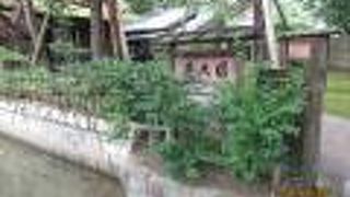 広大な日本庭園です