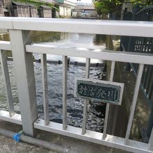 川面が綺麗です