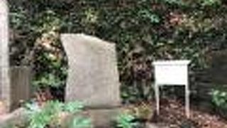 神社の鳥居のすぐ横にある